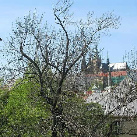 Historic Center *